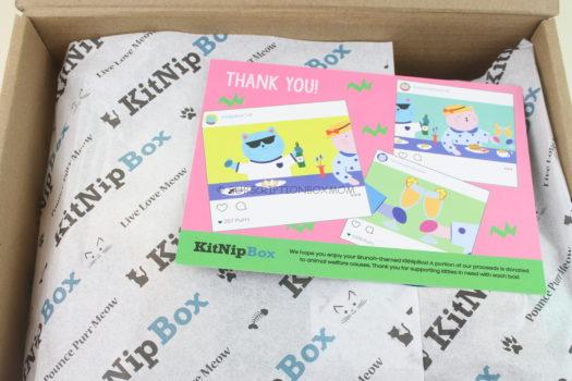 KitNipBox August 2018 Cat Subscription Box Review