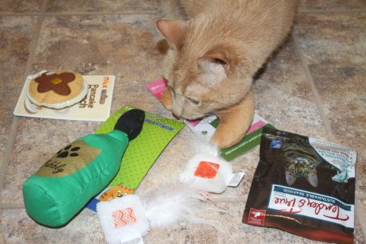 KitNipBox August 2018 Cat Subscription Box Review