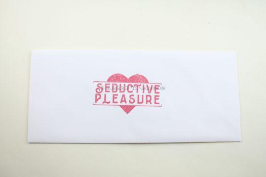 Seductive Pleasure August 2018 Adult Subscription Box Review