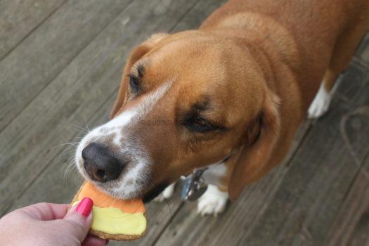 Emmy's Gourmet Canine Creations Three Cheese Pleasers 