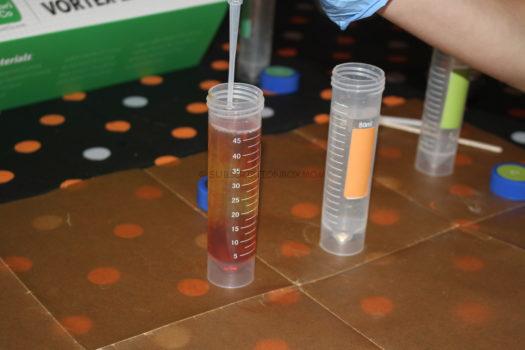 Experiment #3: Iodine Clock Reaction