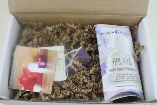 BuddhiBox BBEO October 2018 Review