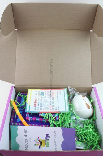 Sensory TheraPlay Box November 2018 Review 