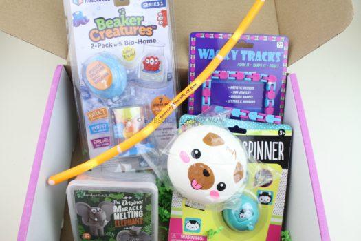 Sensory TheraPlay Box November 2018 Review 