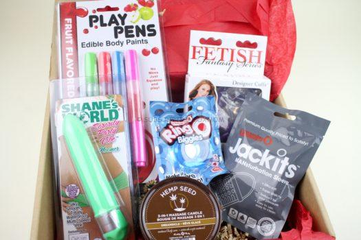 Seductive Pleasure November 2018 Adult Subscription Box Review