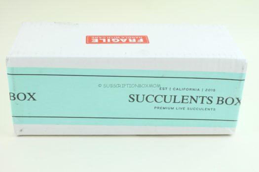 Succulents Box November 2018 Review