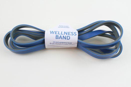 Wellness Band