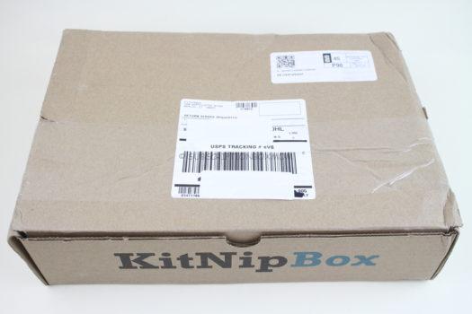 KitNipBox January 2019 Cat Subscription Box Review
