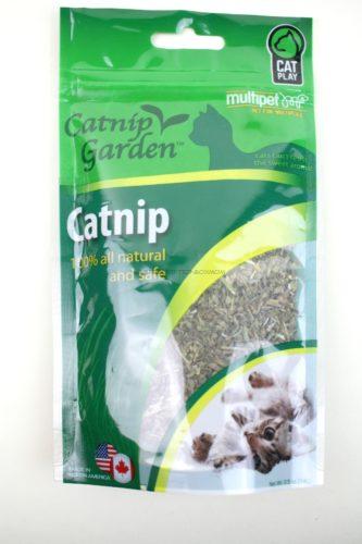 Catnip Garden Catnip