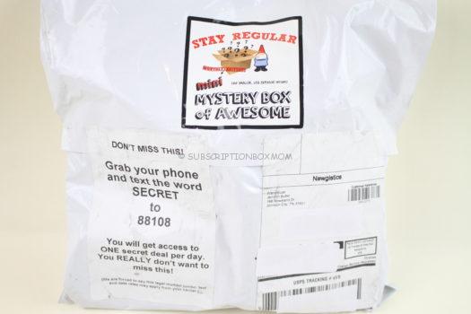 Stay Regular Mini Monthly Mystery Box January 2019 Review