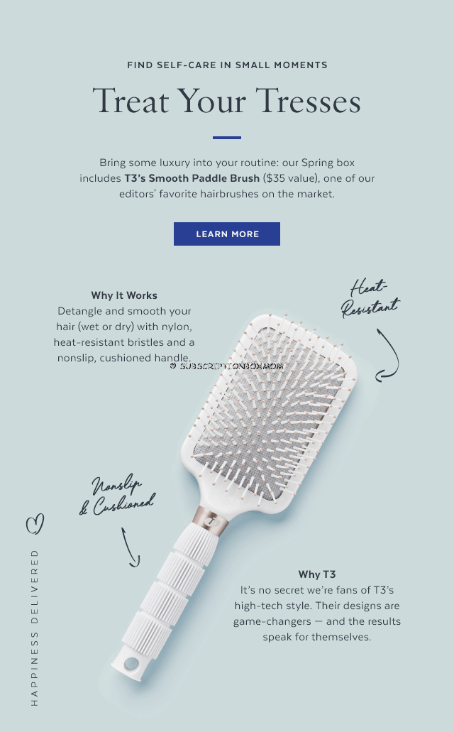 T3 Smooth Paddle Brush 