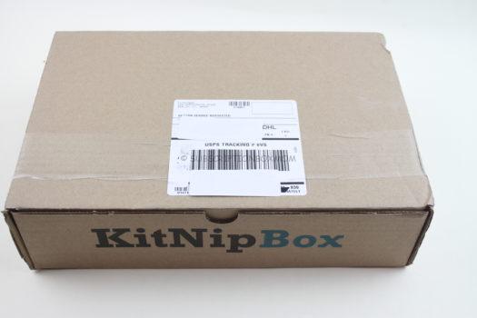 KitNipBox February 2019 Cat Subscription Box Review 