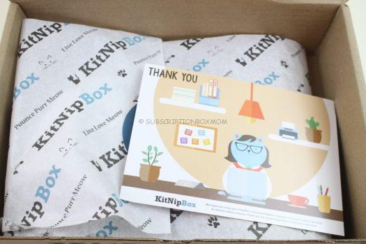 KitNipBox February 2019 Cat Subscription Box Review 