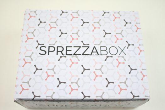 SprezzaBox February 2019 Review