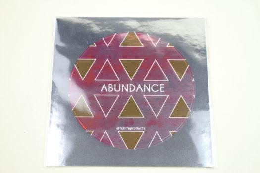 H2LIFE Abundance Sticker