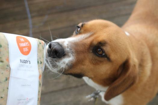 The Farmer's Dog Fresh Dog Food April 2019 Review