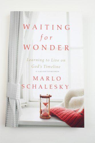 Waiting for Wander by Marlo Schalesky 