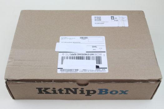 KitNipBox June 2019 Cat Subscription Box Review