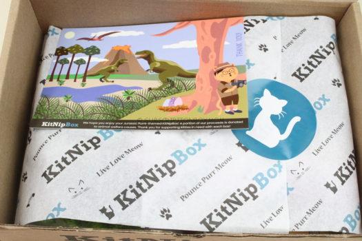 KitNipBox June 2019 Cat Subscription Box Review