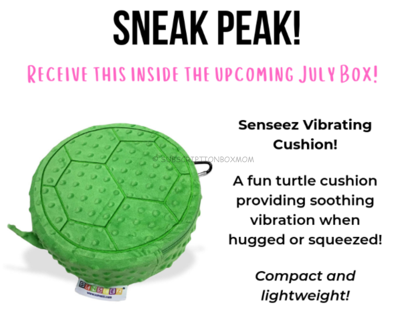 Senseez Vibrating Cushion