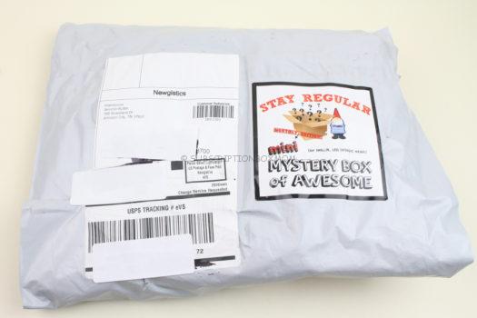 Stay Regular Mini Monthly Mystery Box August 2019 Review