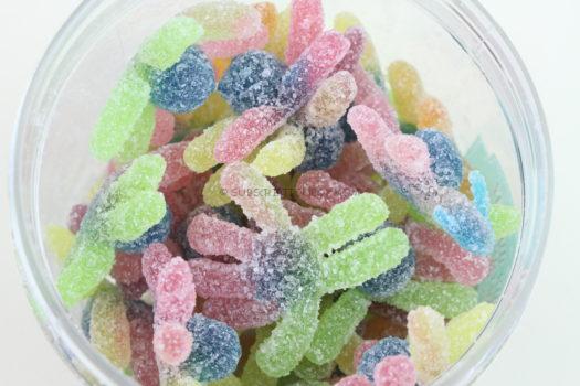 Sour Gummy Octopus