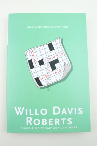 What Could Go Wrong by Willo Davis Roberts 
