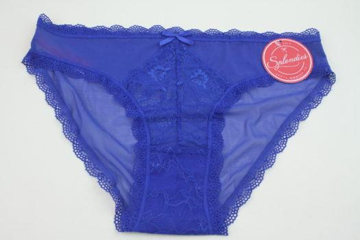 Blue Lace Underwear