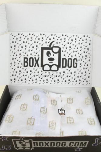 BoxDog Fall 2019 Review