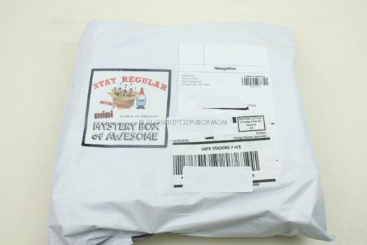 Stay Regular Mini Monthly Mystery Box November 2019 Review