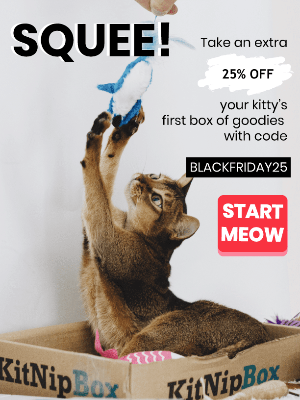 KitNipBox Black Friday 2019 Coupon Code