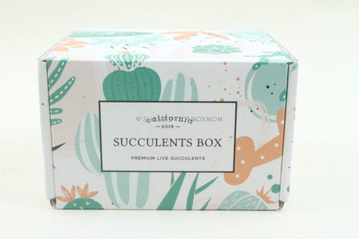 Succulents Box November 2019 Review