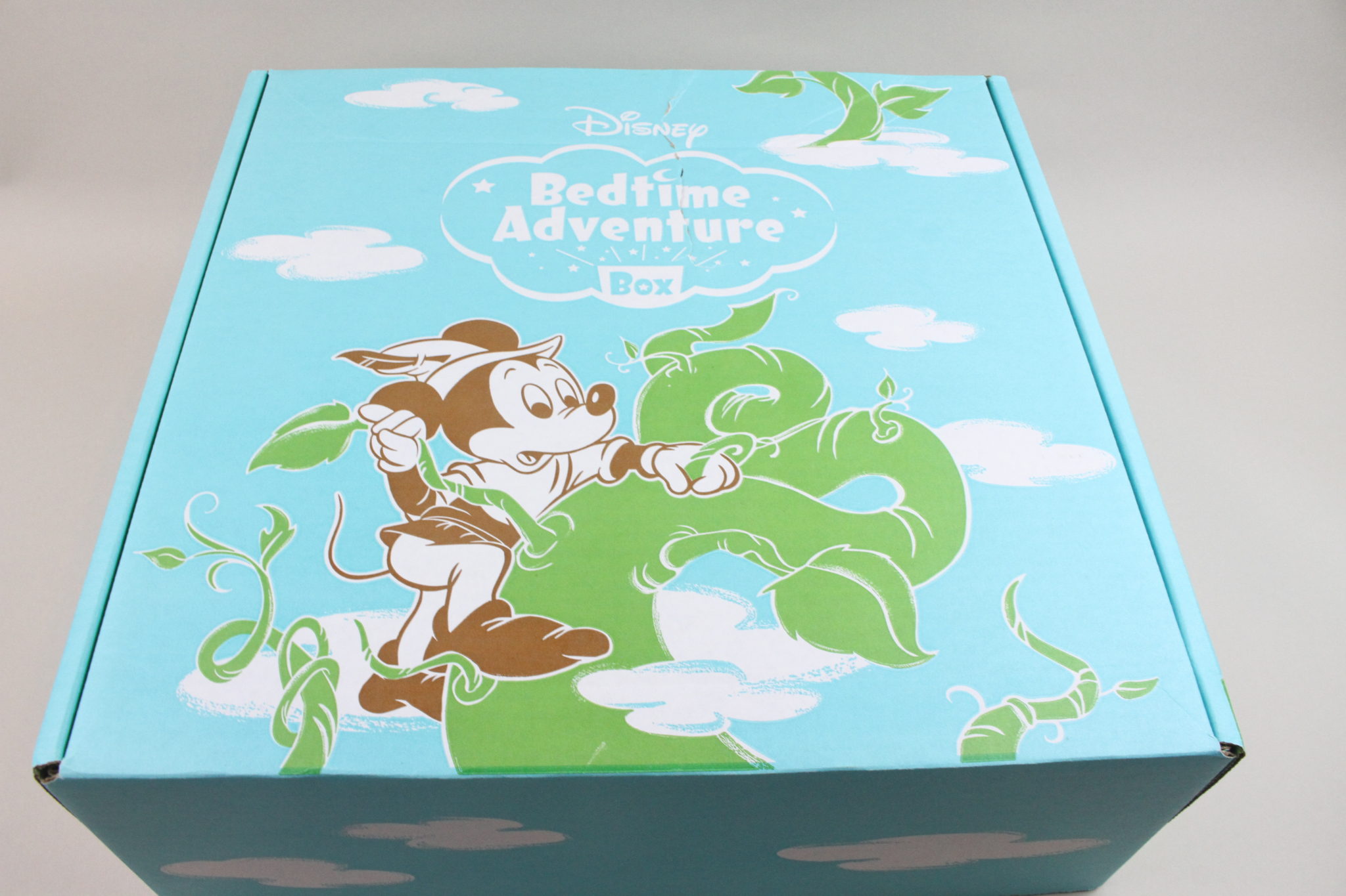 Disney Bedtime Adventure Box January 2020 Review