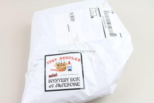 Stay Regular Mini Monthly Mystery Box January 2020 Review