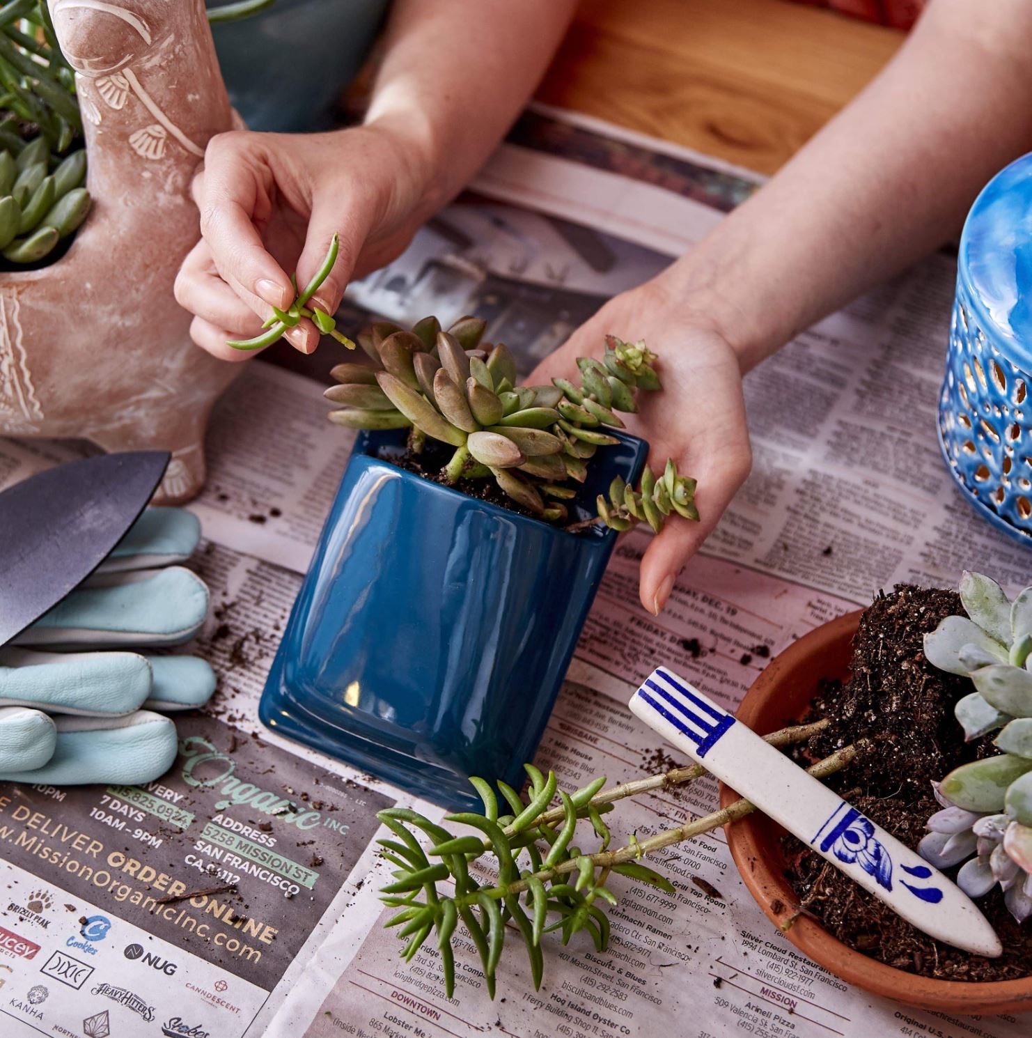 Ceramic Pocket Wall Planter