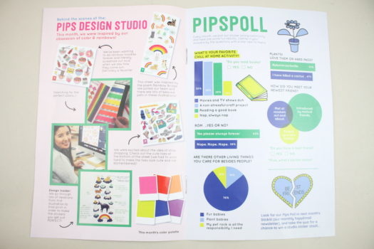 Pipsticks March 2020 Review 