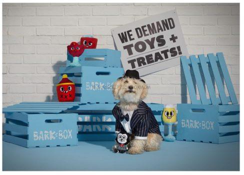 April 2020 BarkBox Spoilers 