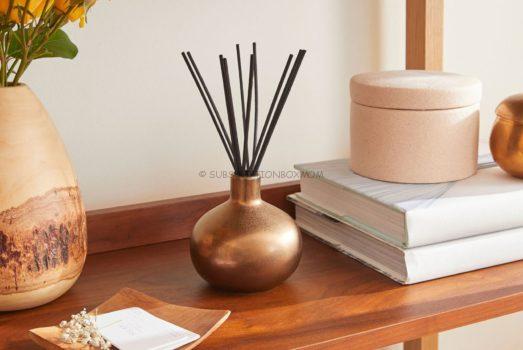 Pottery Barn Mason Ceramic Diffuser in Solstice ($59 value) - 