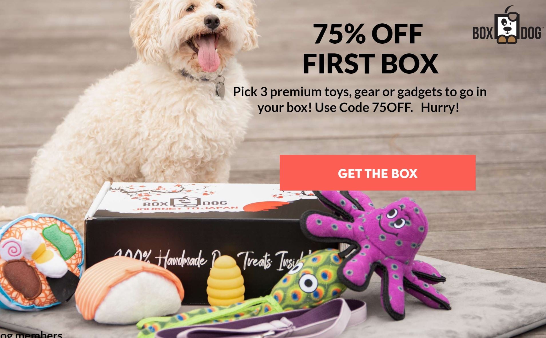 BoxDog May 2020 Coupon Code Save 75 » Subscription Box Mom