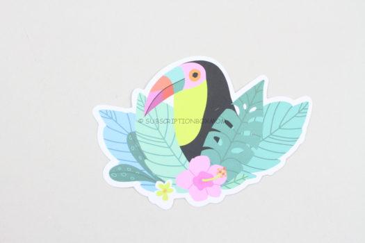 Toucan Bird 