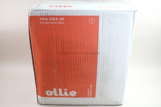 Ollie June 2020 Review