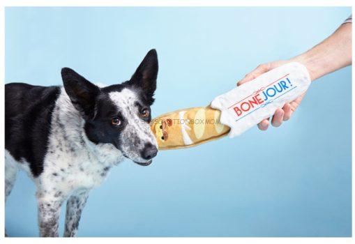 BarkBox June 2020 Spoilers