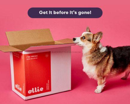 Ollie July 2020 Coupon Code