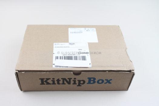 KitNipBox August 2020  Cat Subscription Box Review