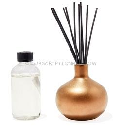 Pottery Barn Mason Ceramic Diffuser in Solstice