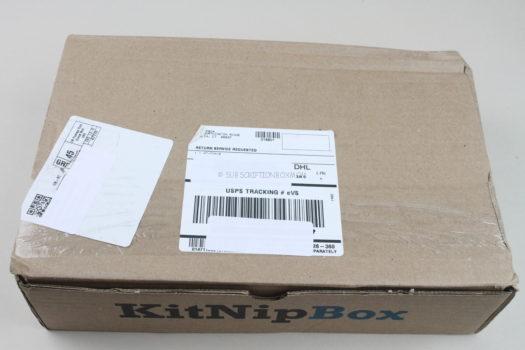 KitNipBox September 2020  Cat Subscription Box Review