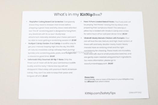 KitNipBox September 2020  Cat Subscription Box Review