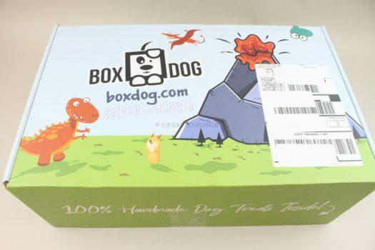 BoxDog Fall 2020 Review