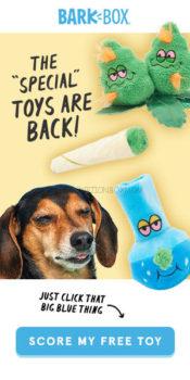 BarkBox September 2020 Coupon