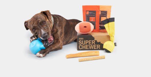 Super Chewer Half Off 3 Day Sale